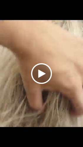 Vanessa D. review of Nanoplex Arginina™ Hair Straightening Nanoplastia Protein 1L/1000ml (33.8 fl. oz) image 1 out of 1