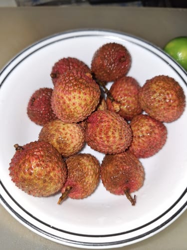 Customer photo review of Tropical Variety Box