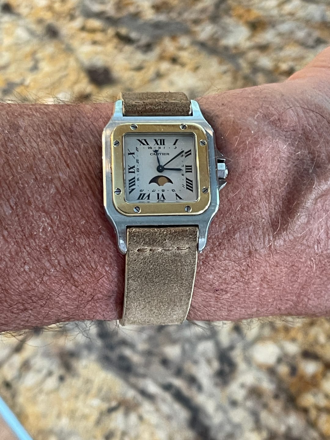 Customer photo review of Dogwood Suede