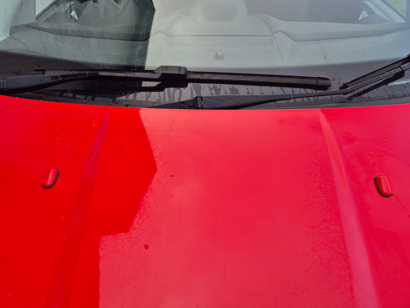 Customer photo review of Genuine Ford Non-Heated 'Mist' Washer Jets (Painted)