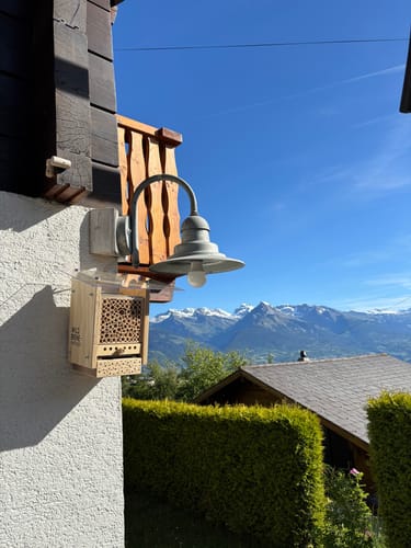Customer photo review of BeeSummer Set Observer