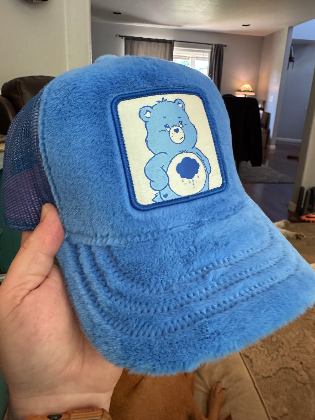 Customer photo review of OVERLORD X Care Bears:  Grumpy Bear Trucker Cap