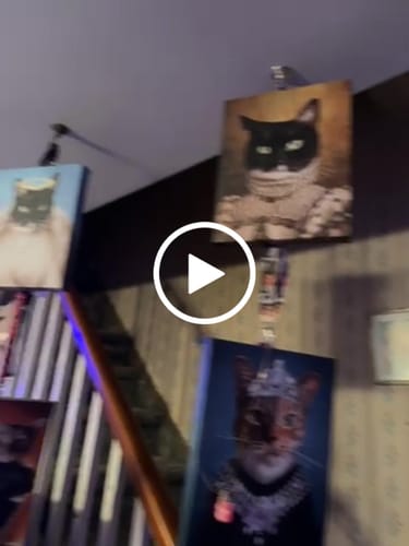 Customer video review of Princess Pet Portrait