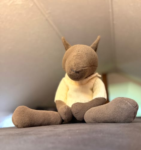 Customer photo review of PIOTR, LE LOUP - GRAND