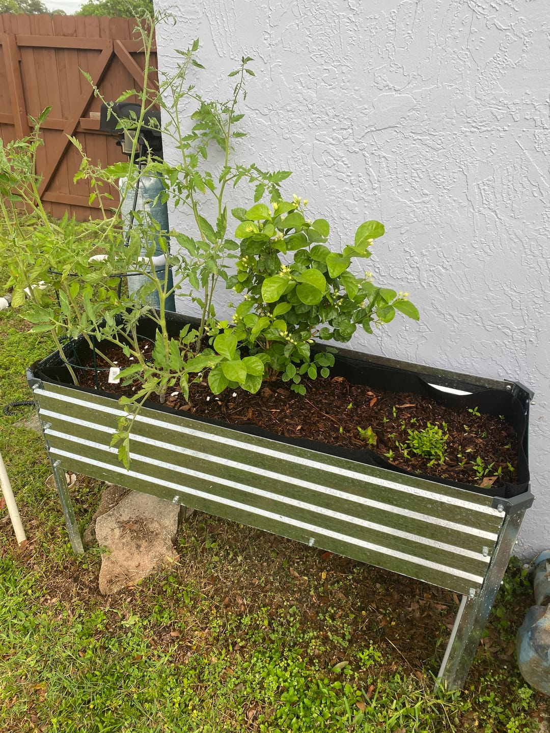 Customer photo review of Elm Power Bundle