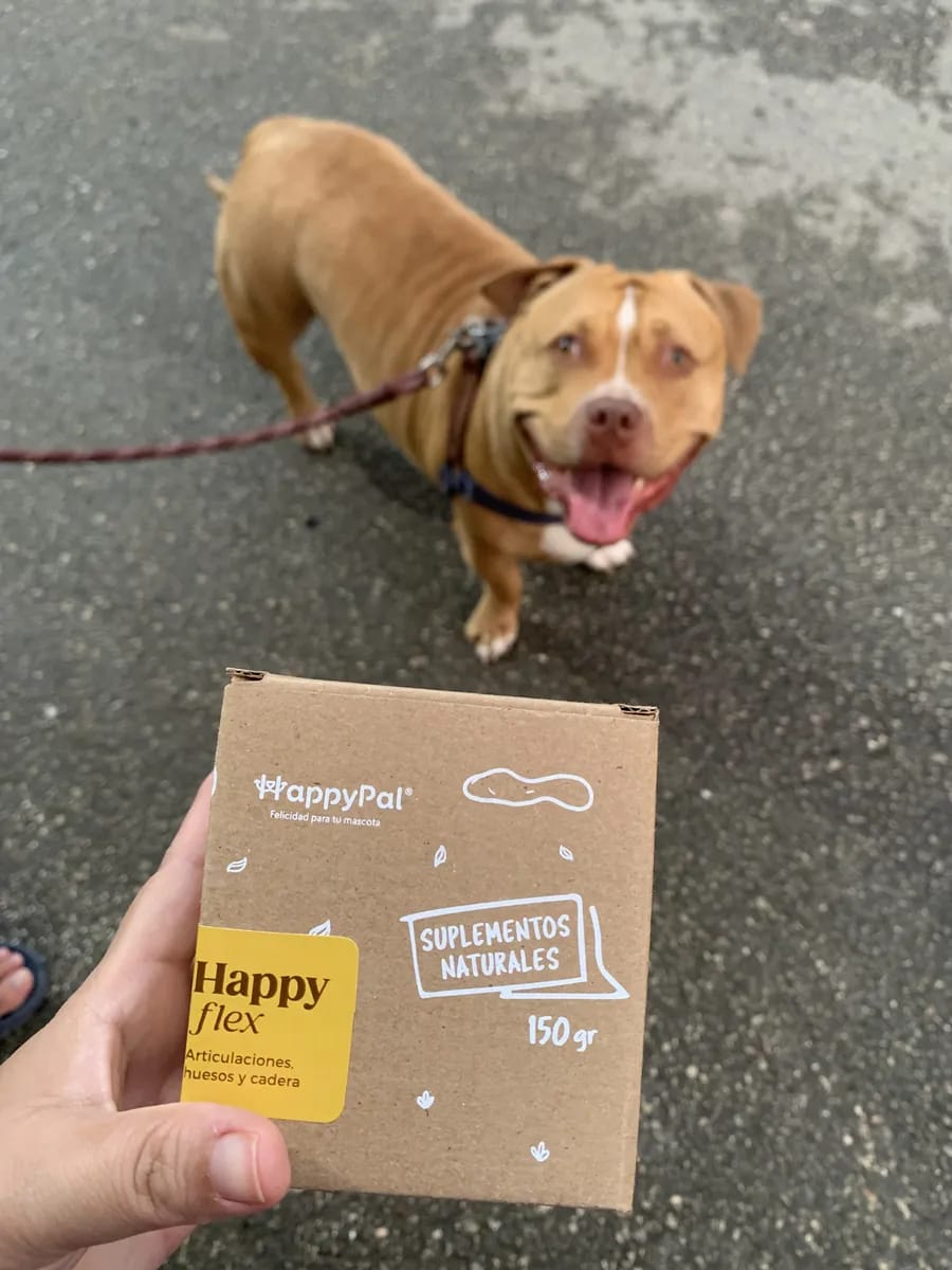 Customer photo review of Happy Flex I  Anti Inflamatorio Para Perros y Gatos. Articulaciones, huesos y cadera