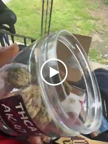 Customer video review of Tangie THCA Flower