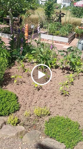 Customer video review of Gartenstecker Henne