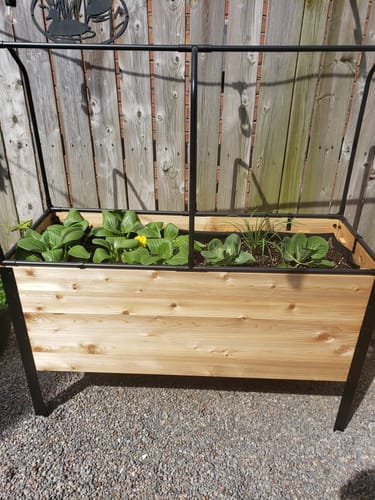 Customer photo review of 18" x 48" Raised Garden Bed - 30" TALL