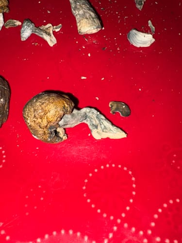 Customer photo review of Non Detect Mushrooms - 50% Off