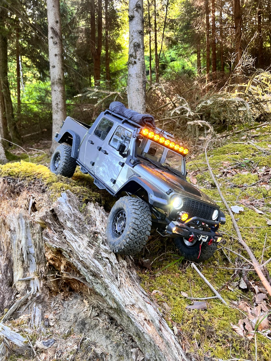 Customer photo review of 1/7 Scale 4WD Brushless RC Crawler JK07Pro