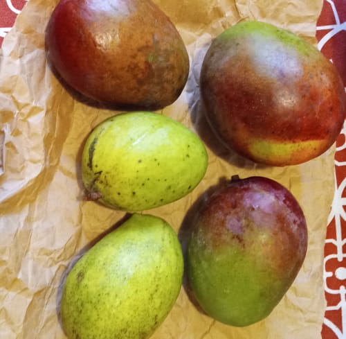 Customer photo review of Mango Mixed Variety