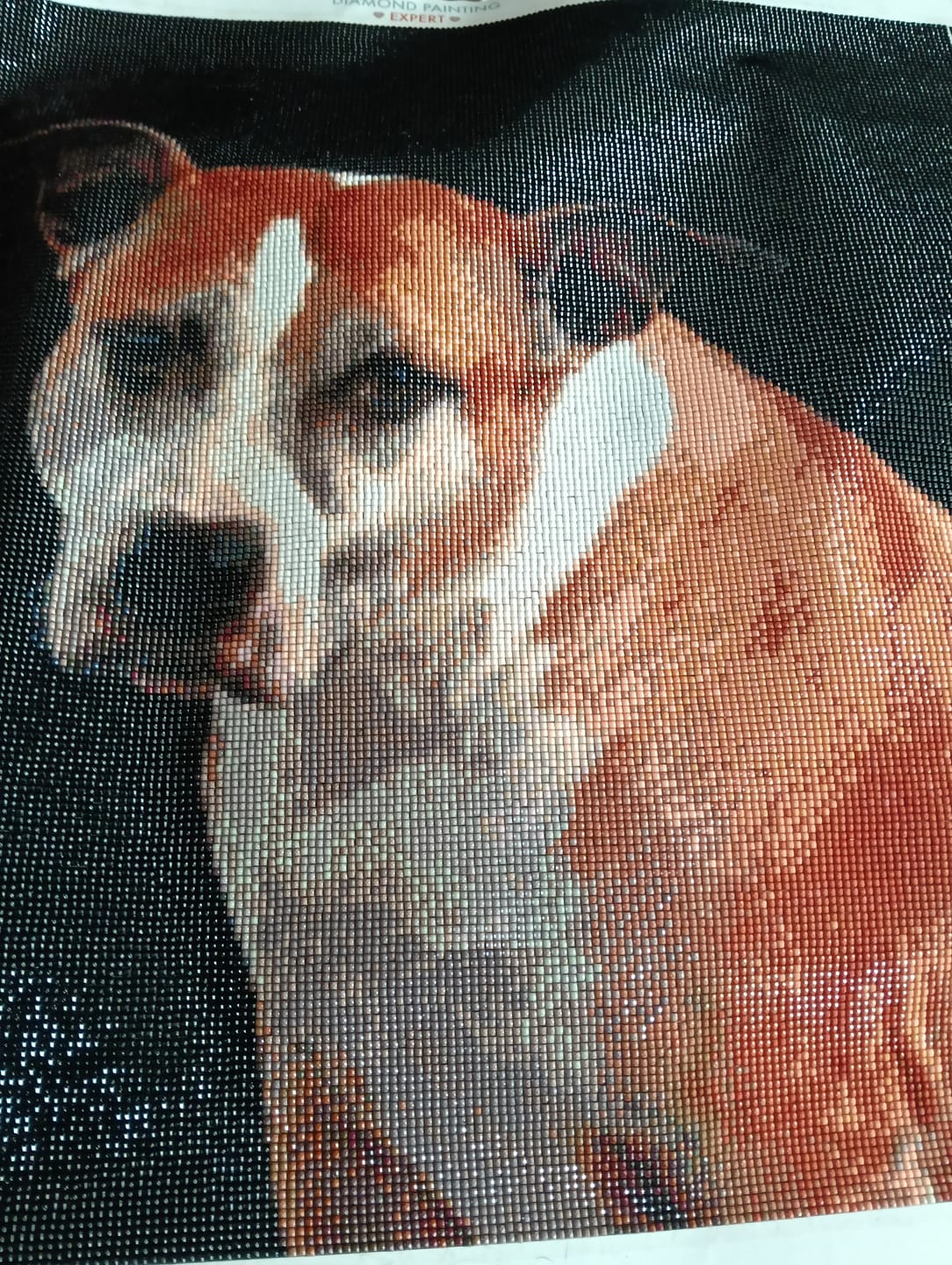 Customer photo review of Eigen Foto Diamond Painting