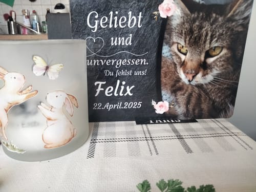 Customer photo review of Katzen Gedenktafel mit Foto & Spruch (UV- & Wetterfest)