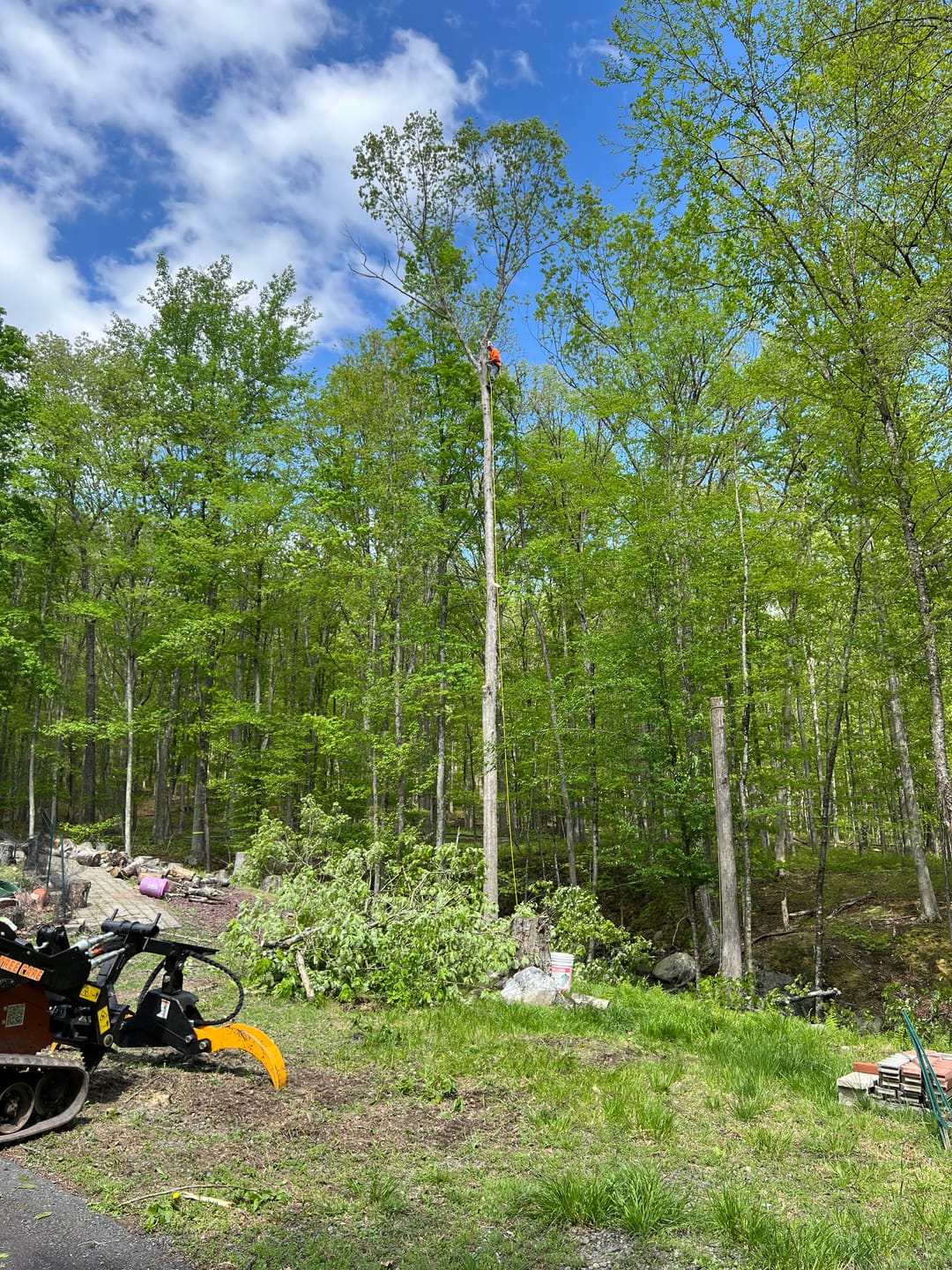 Customer photo review of Versa Grab Mini - Mini Skid Steer Multi-Purpose Grapple