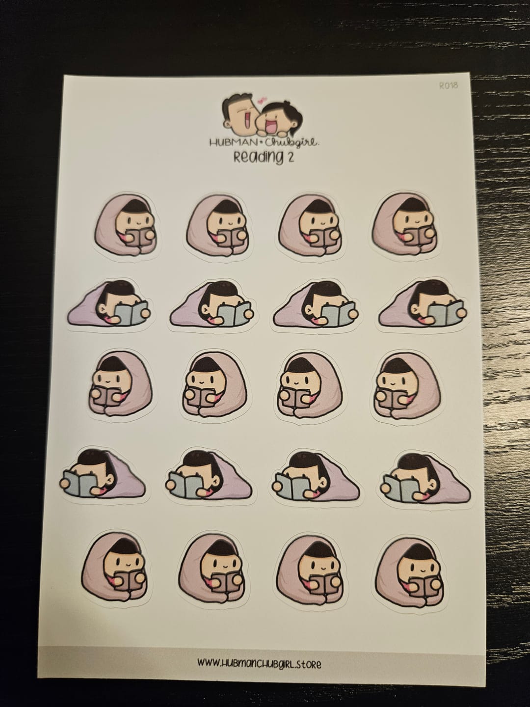Customer photo review of Reading 2 Planner Stickers