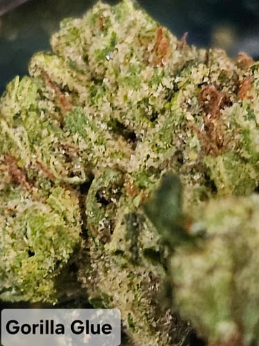 Customer photo review of Gorilla Glue THCA Flower