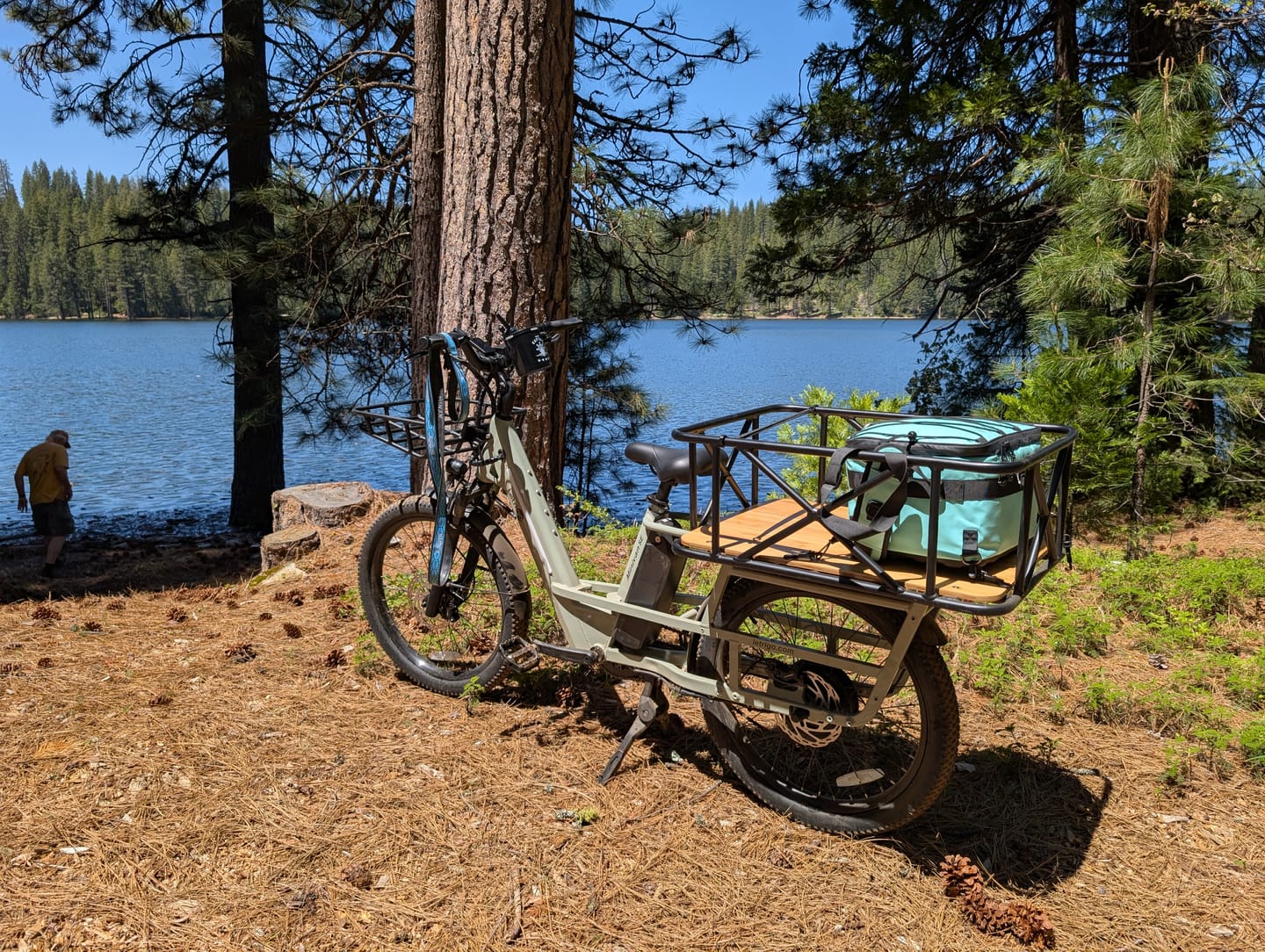 Customer photo review of Minivan SE