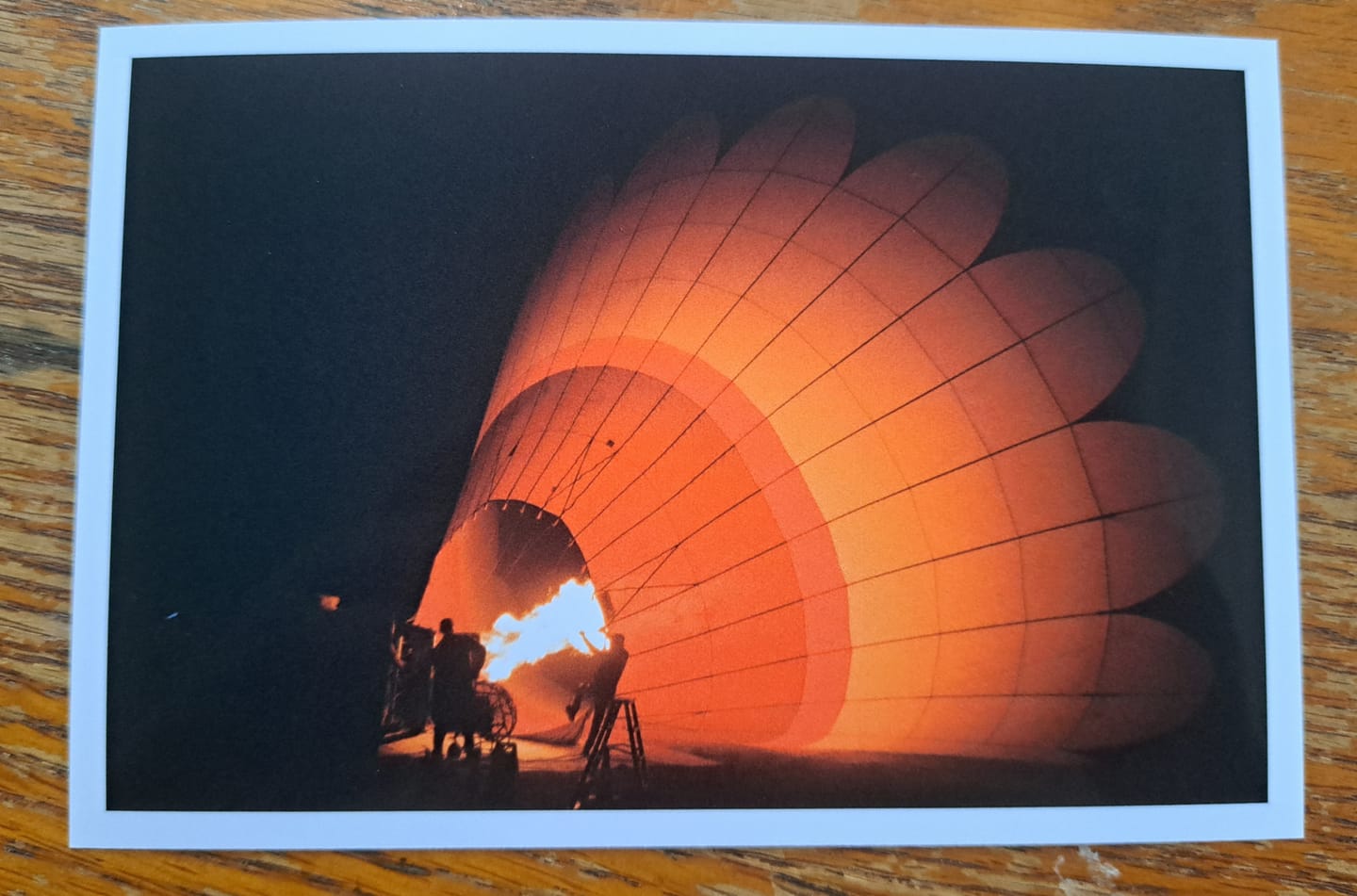 Customer photo review of 35mm Film Processing