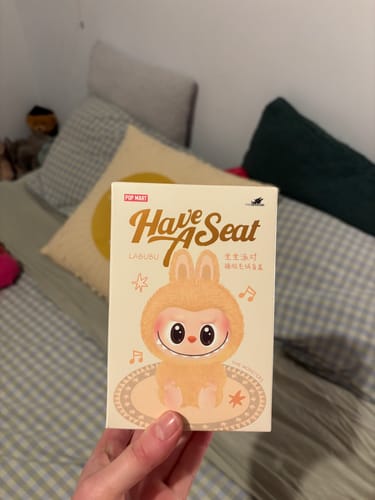 Customer photo review of Pop Mart Labubu The Monsters Have a Seat Vinyl Plush Blind Box
