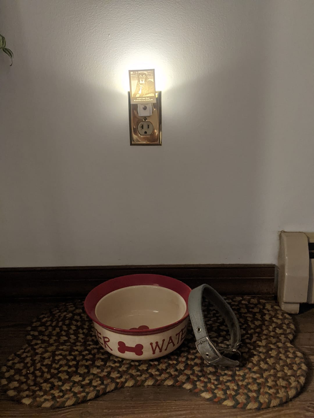 Customer photo review of Memory Frame™ Personalized Night Light