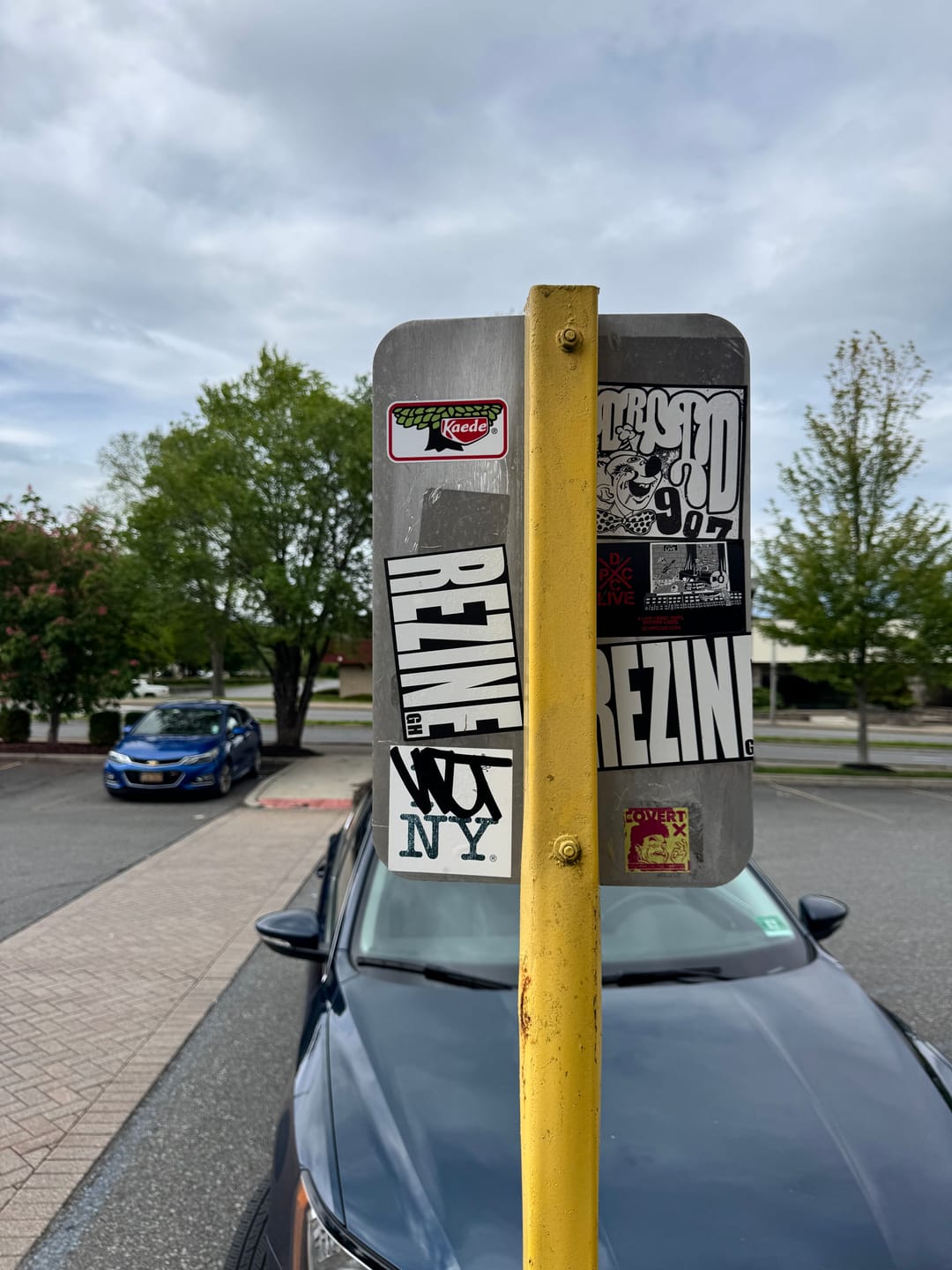 Customer photo review of Rectangle Stickers