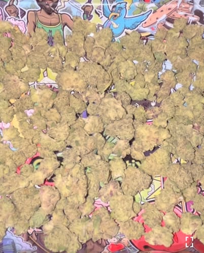 Customer photo review of Mac 1 THCA Flower