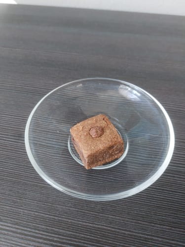 Customer photo review of 🔮 Magic Hasch Brownies - POWER LVL: 5/5