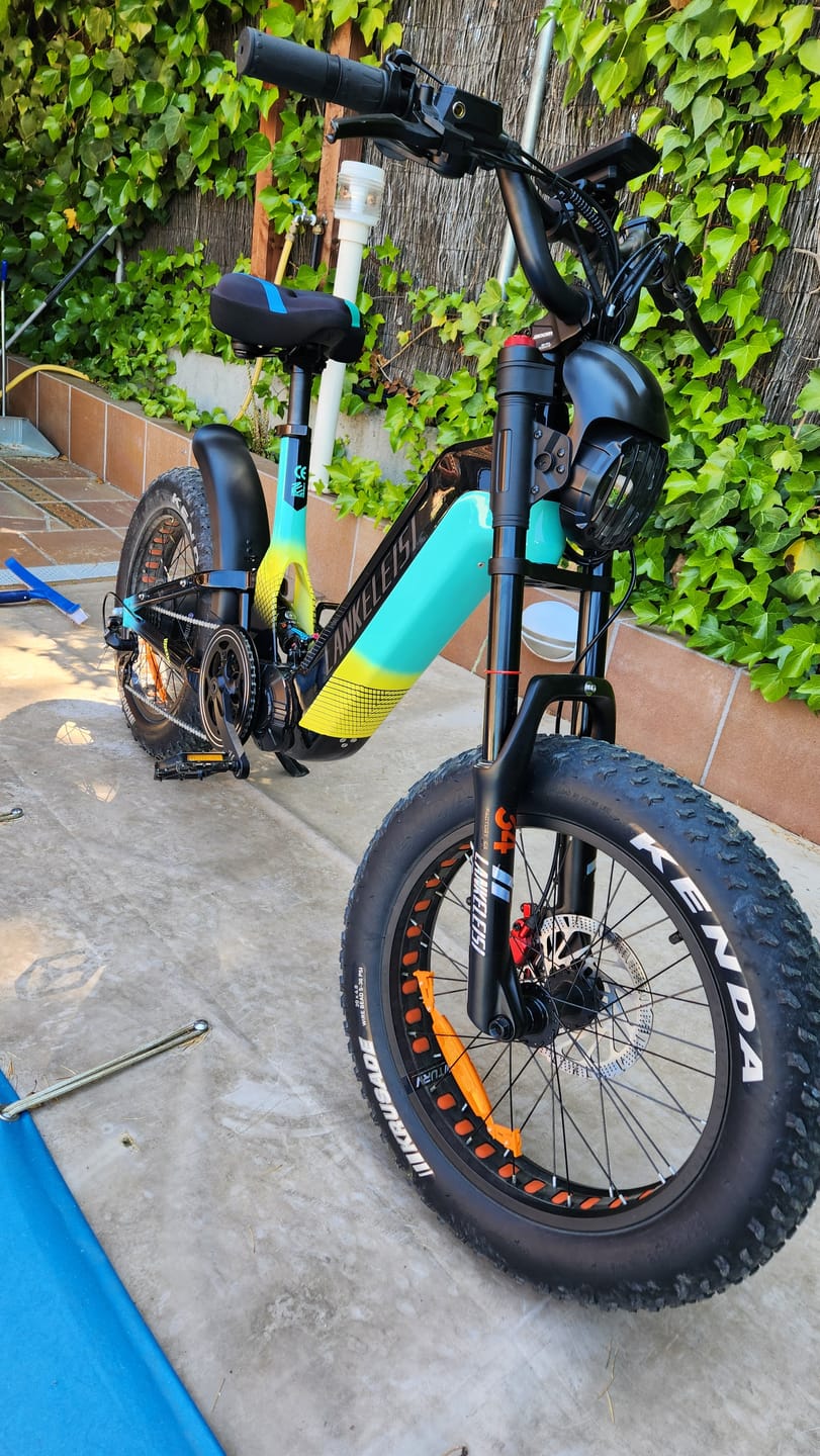 Customer photo review of Lankeleisi RX800 Plus 1000W 20" Fat Bike 960Wh Full Suspension Electric Bike 48V 20Ah Battery SUV E-Bike