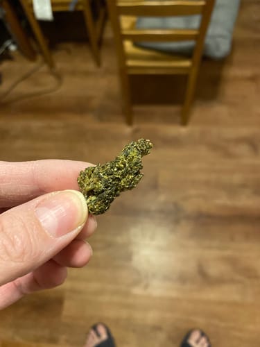 Customer photo review of Purple Haze Exotics