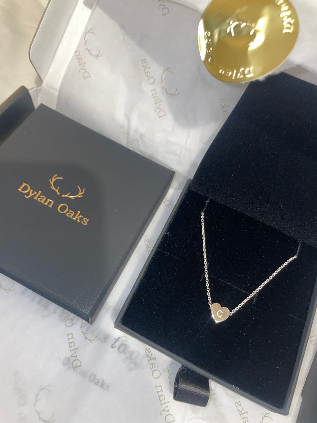 Customer photo review of Amo Heart Necklace in Silver