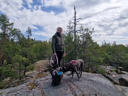 Customer photo review of Guard Leash Rose Edition Plum - Väktarkoppel med extra handtag