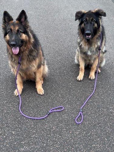 Graham R. review of Soft Rope Slip Lead 8mm image 1 out of 1