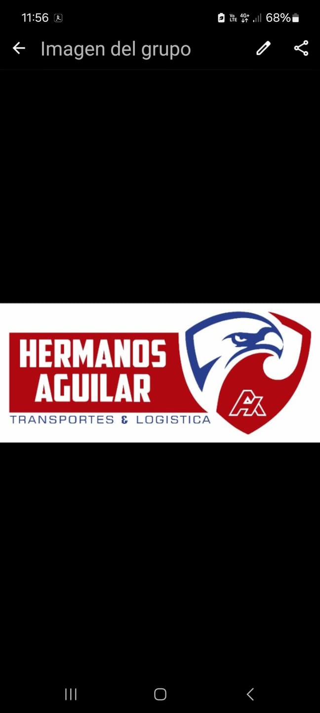 Customer photo review of Logo equipo de Basquetbol
