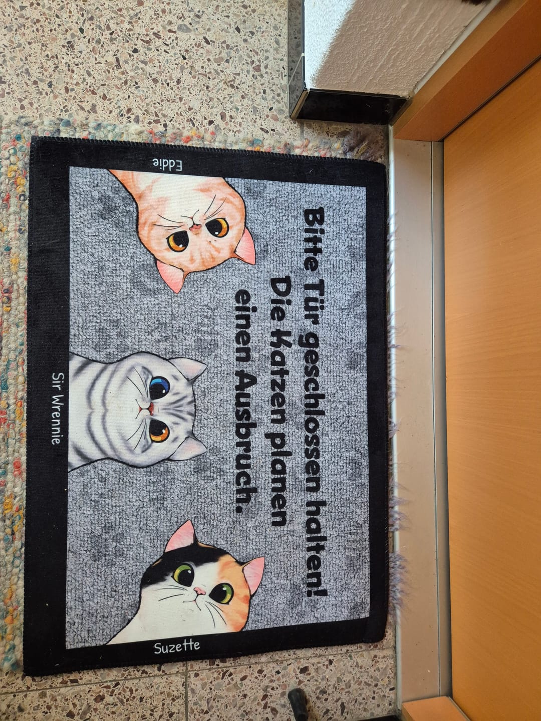 Customer photo review of Katzen planen einen Ausbruch - Individuelle Fußmatte