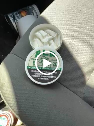 undefined review of Mountain Wintergreen Nicotine Pouches image 1 out of 1