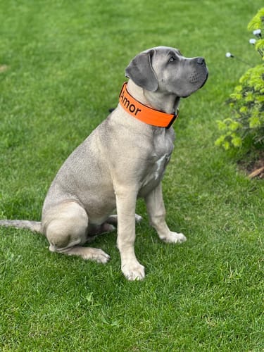 Grzegorz B. review of Personalisation Fee €9.99 image 1 out of 3