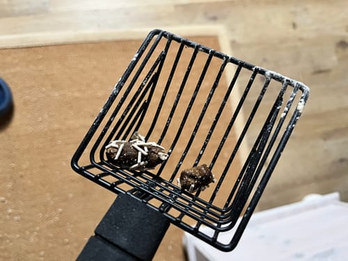 Customer photo review of Naturreines Katzenstreu