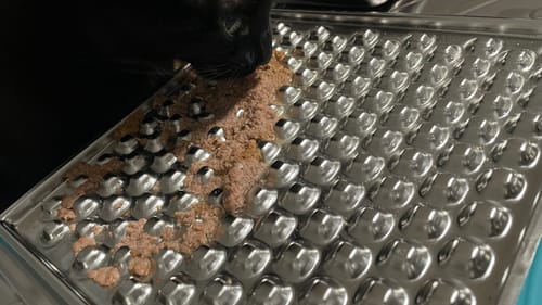 Customer photo review of Stainless Steel Lick Mat for Cat & Dog