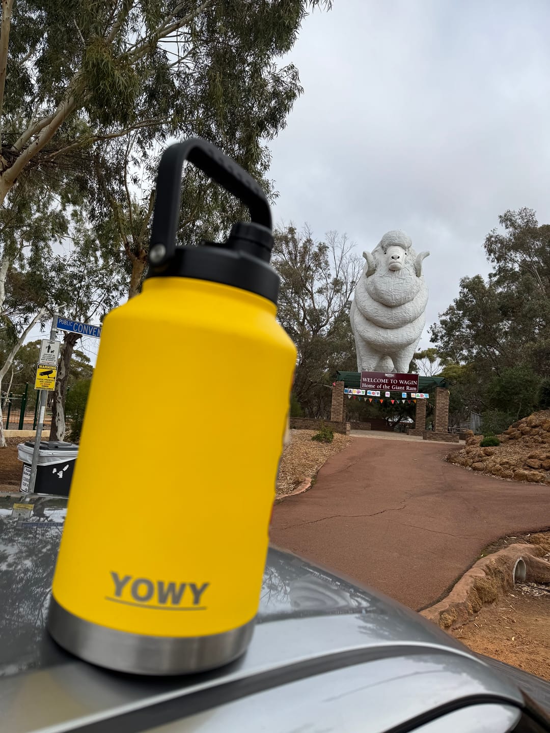 Customer photo review of 5.8L Yowy Watercan
