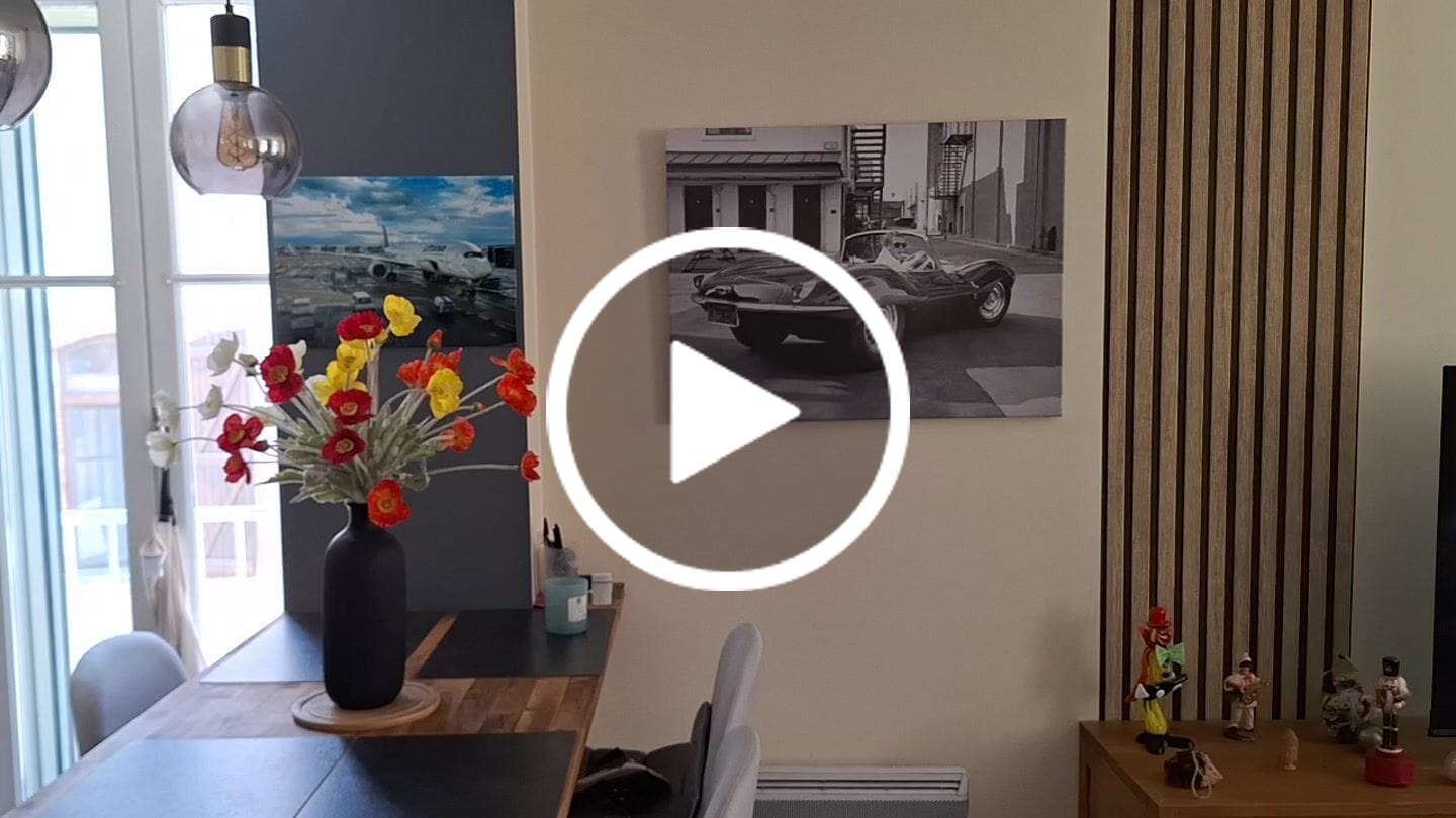 Customer video review of Fleurs de Poppy - Mélange printanier (10 tiges)