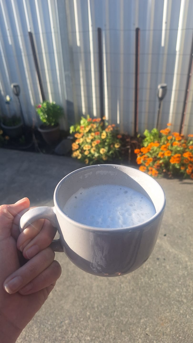 Customer photo review of White Chocolate Bone Broth Powder