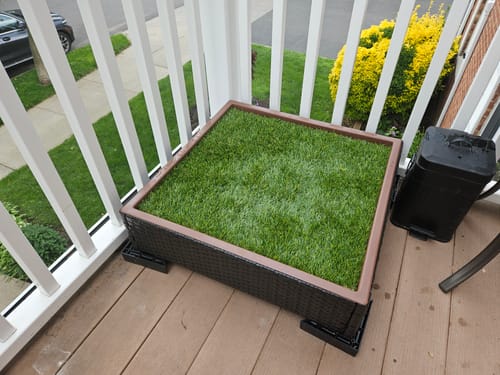 Customer photo review of Porch Potty SMALL