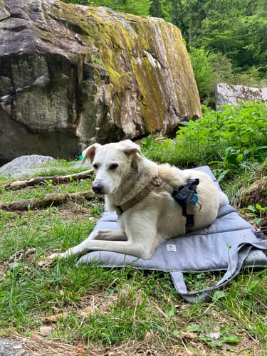 Customer photo review of Trapuntina Arrotolabile Mattias (Soft Touch) Grigio