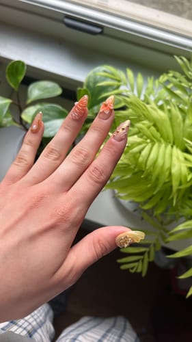 Customer photo review of Solara