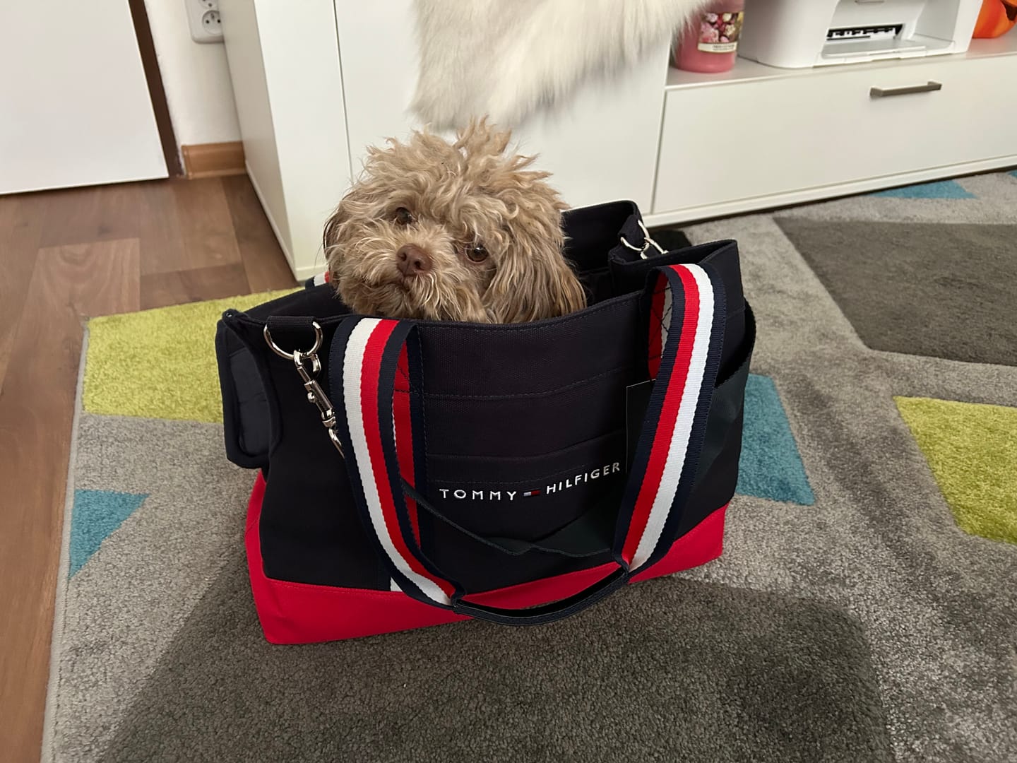 Customer photo review of Tommy Hilfiger Canvas Dog Tote Bag