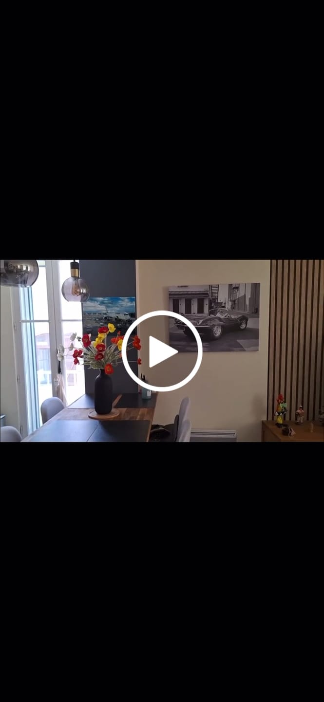 Customer video review of Zijden Klaprozen - Mix