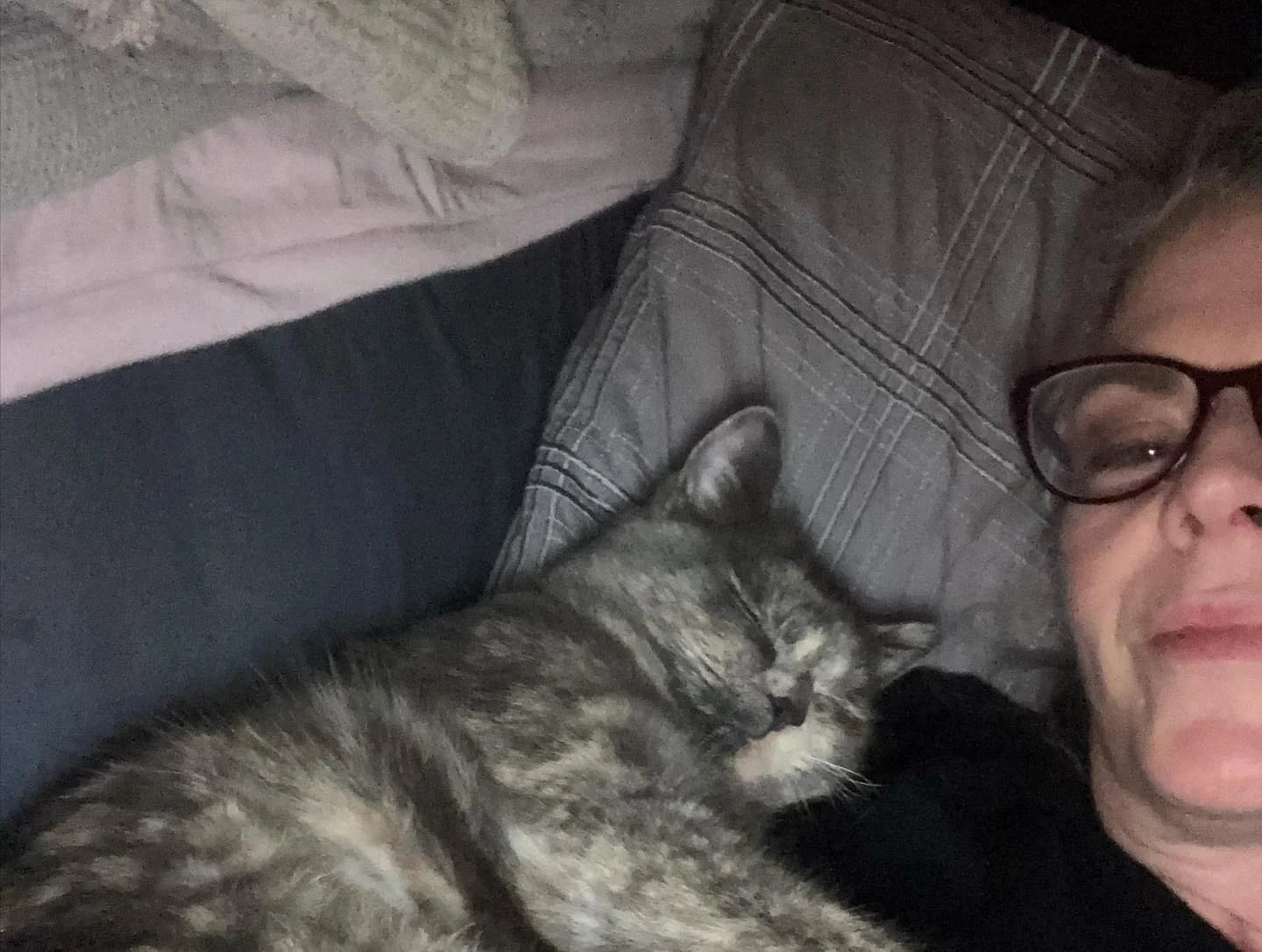 Customer photo review of Feline Biome™