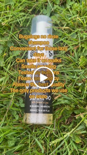 Customer video review of No Rinse Oatmeal Dog Shampoo with Coconut & Lime