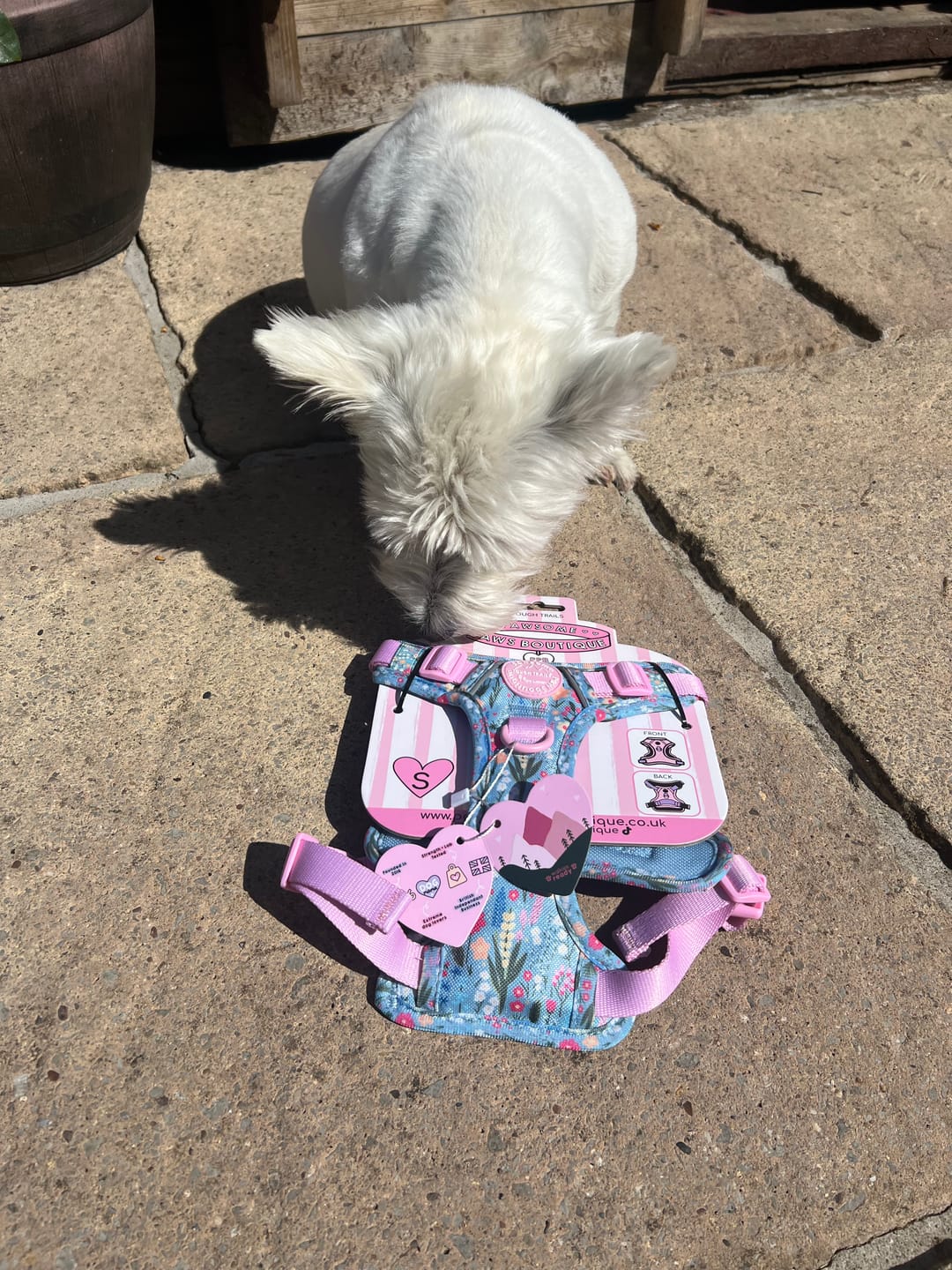 Customer photo review of Tough Trails™ Harness -  Whimsical Wildflowers